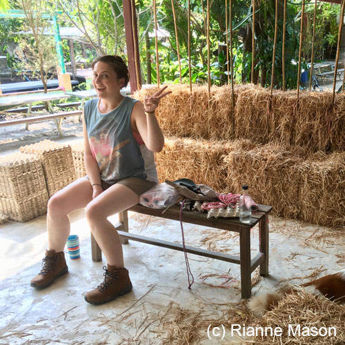 Making straw bale wall (c) Rianne Mason